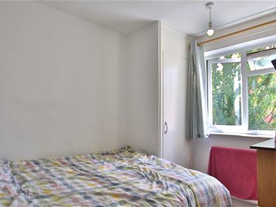 Picture 20